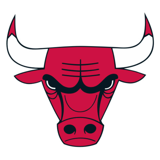 Chicago Bulls logo
